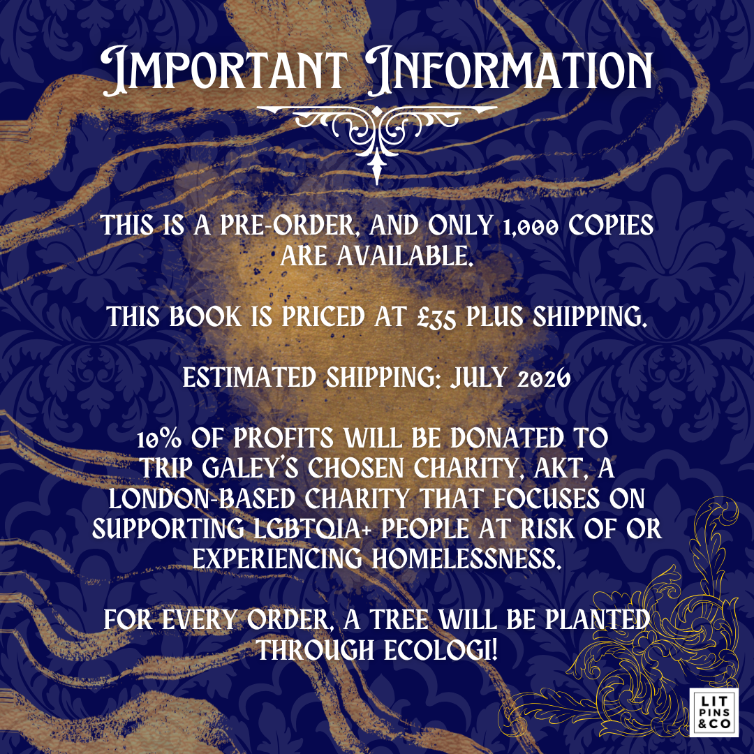 Promotional graphic for LitPins&Co's special edition of A Market of Dreams and Destiny, which features white text on a blue and gold background.