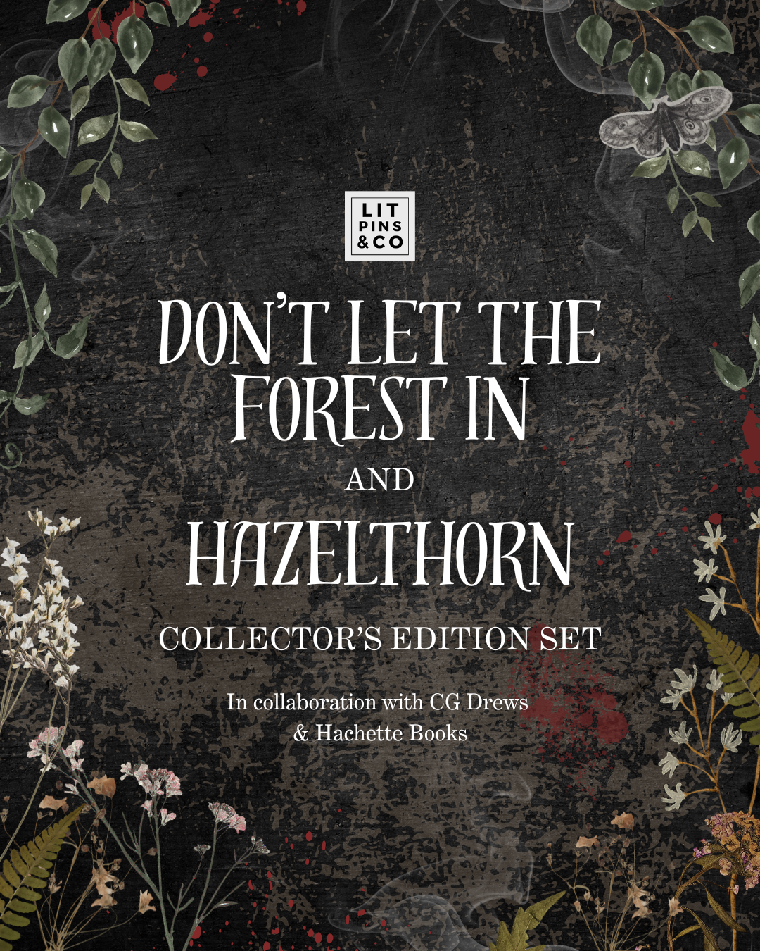 Announcement Graphic for LitPins&Co Don't Let The Forest In and Hazelthorn Collector's Edition Set in collaboration with CG Drews and Hachette Books. 