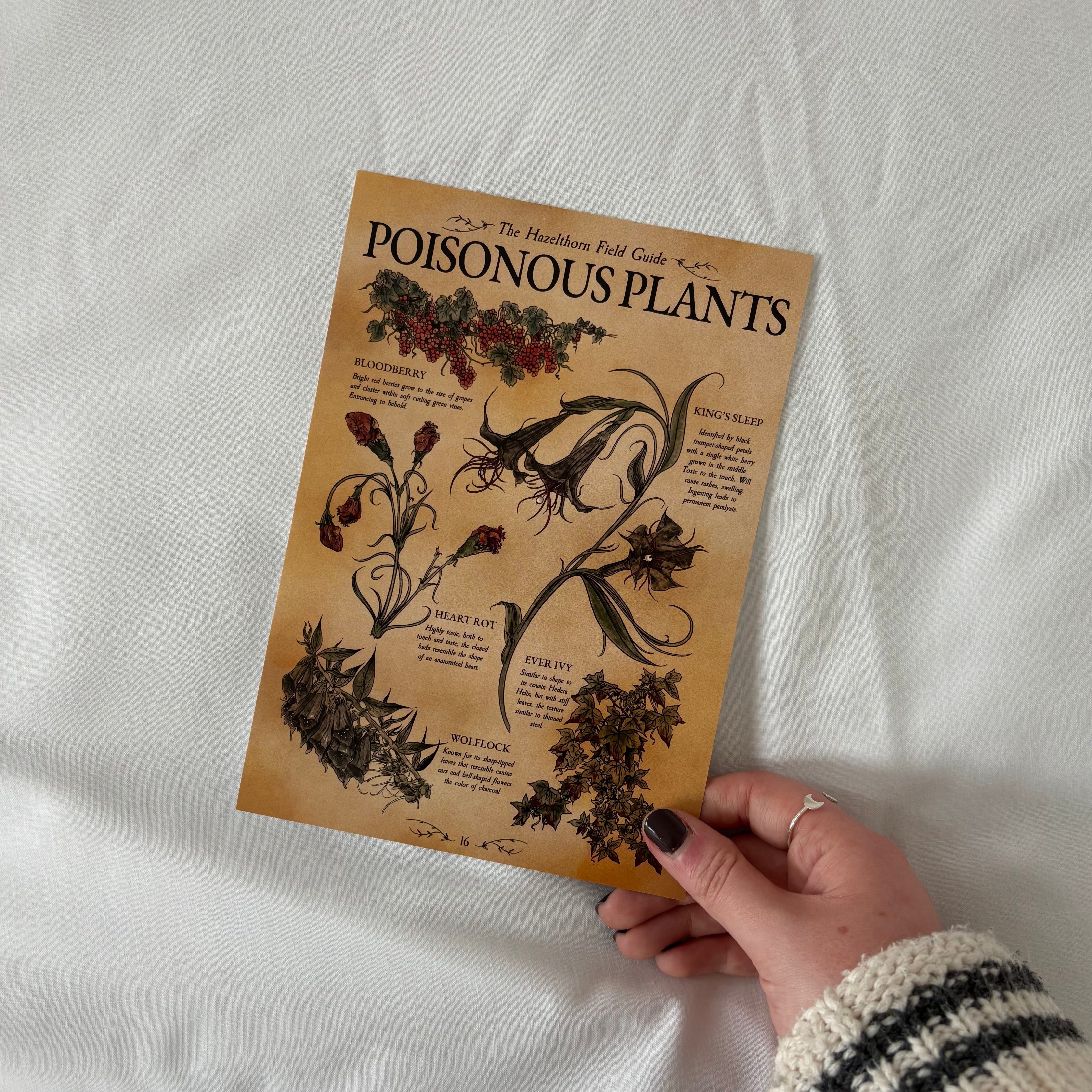 Art print showing a page from the Hazelthorn Field Guide, with illustrations of poisonous prints