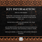 A black promotional graphic with a Greek key border at the top and bottom, white text reading 'KEY INFORMATION:' and details about a pre-order set, plus a small 'LIT PINS & CO' logo at the bottom.